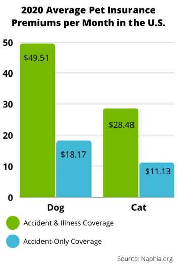 How Much Is Dog Insurance Per Year